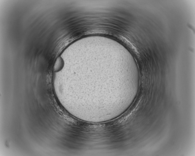 X0000096400937200802141515