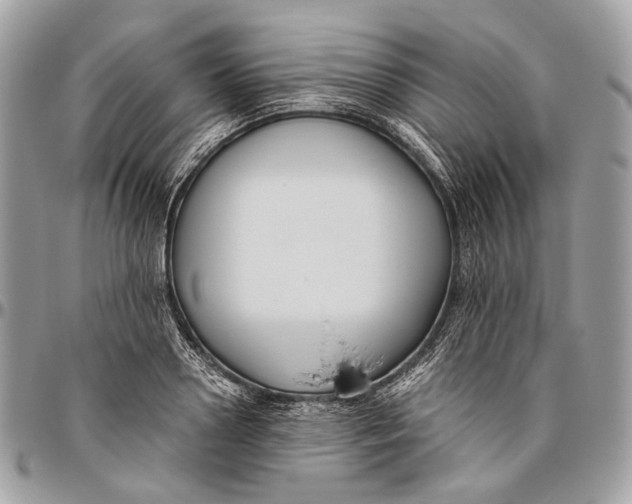 X0000096400938200802141515