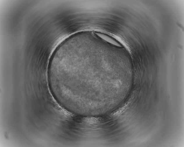 X0000096400943200802141515