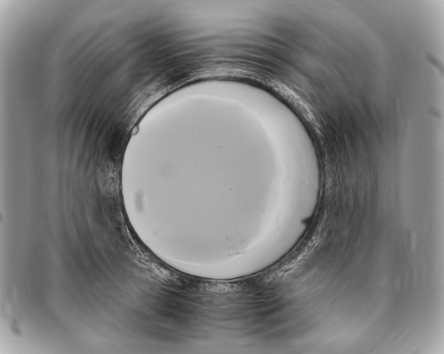 X0000096400945200802141515