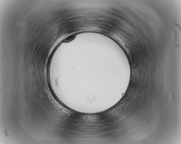 X0000096400947200802141515