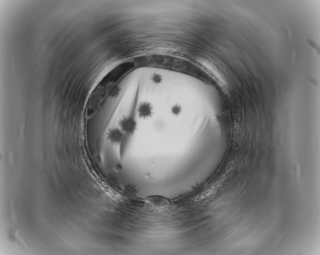 X0000096400948200802141515