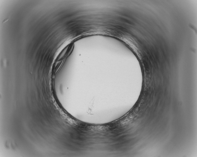 X0000096400949200802141515