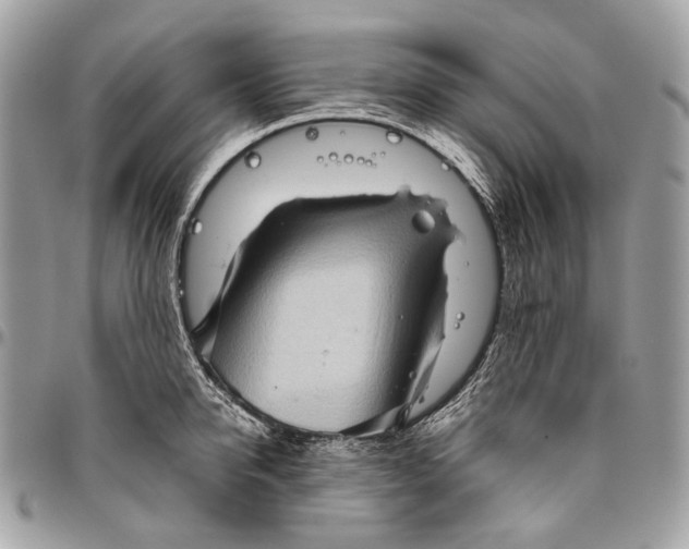 X0000096400950200802141515