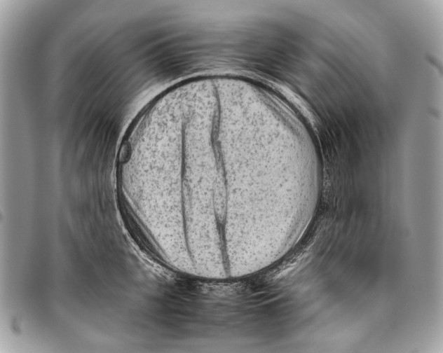 X0000096400951200802141515