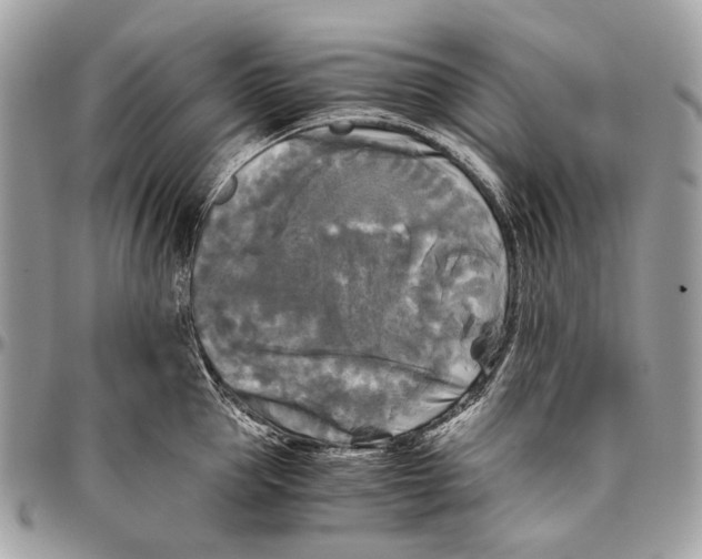 X0000096400953200802141515