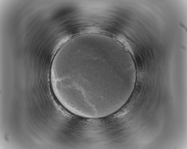 X0000096400954200802141515