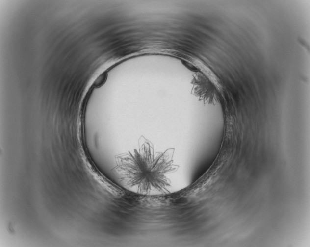 X0000096400955200802141515