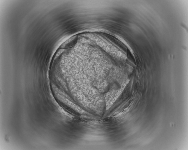 X0000096400959200802141515