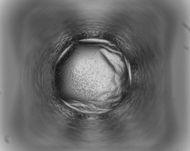 X0000096400961200802141514