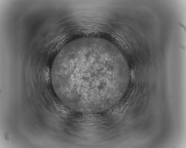 X0000096400963200802141514