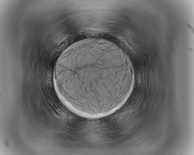 X0000096400964200802141514