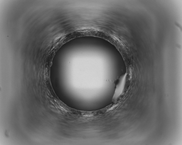 X0000096400965200802141514