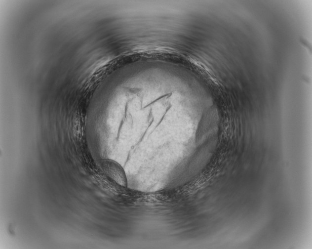 X0000096400966200802141514