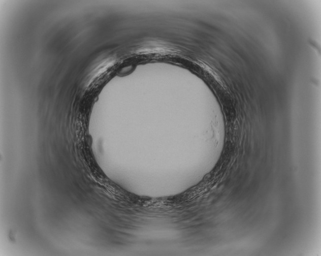 X0000096400967200802141514