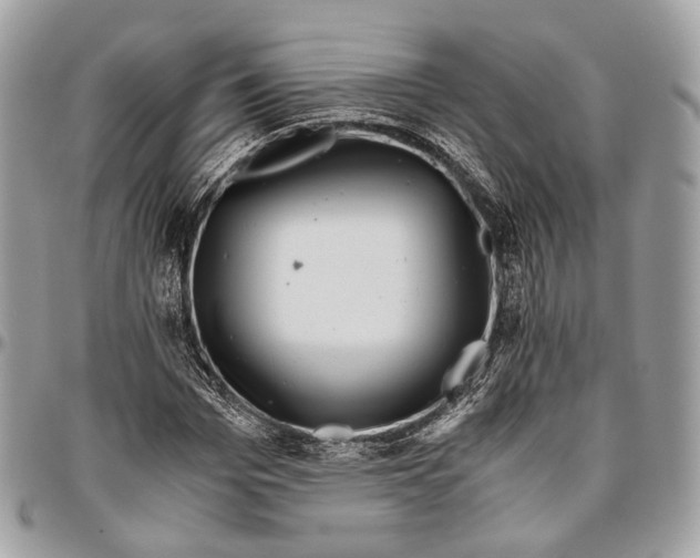 X0000096400969200802141514