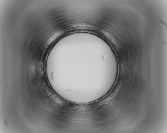 X0000096400970200802141514