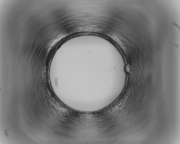 X0000096400971200802141514