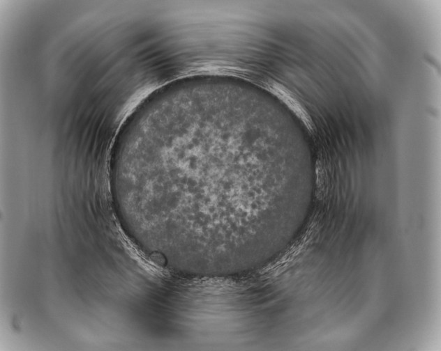 X0000096400972200802141514