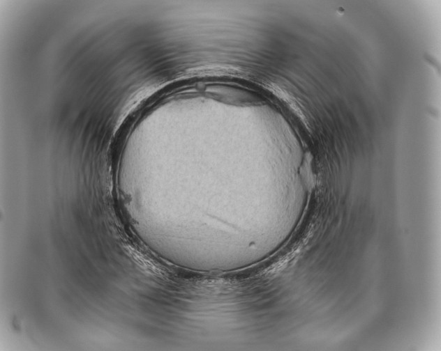 X0000096400973200802141514