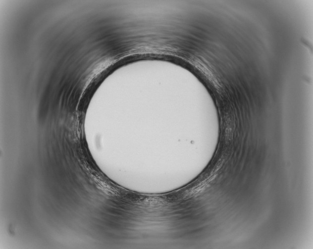 X0000096400974200802141514