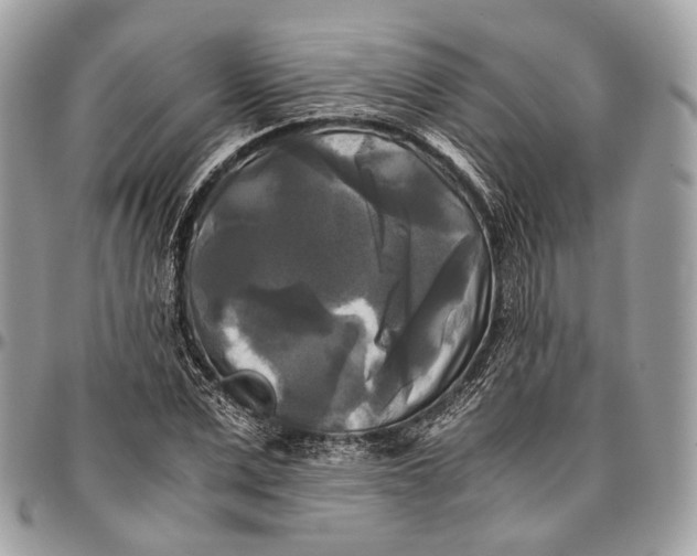 X0000096400975200802141514