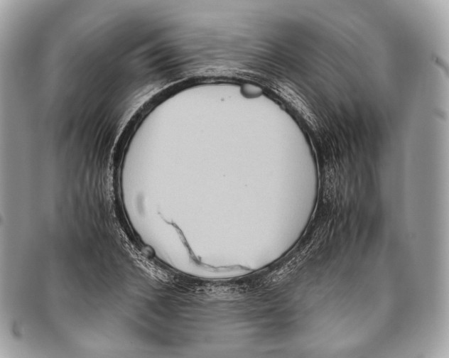 X0000096400976200802141514