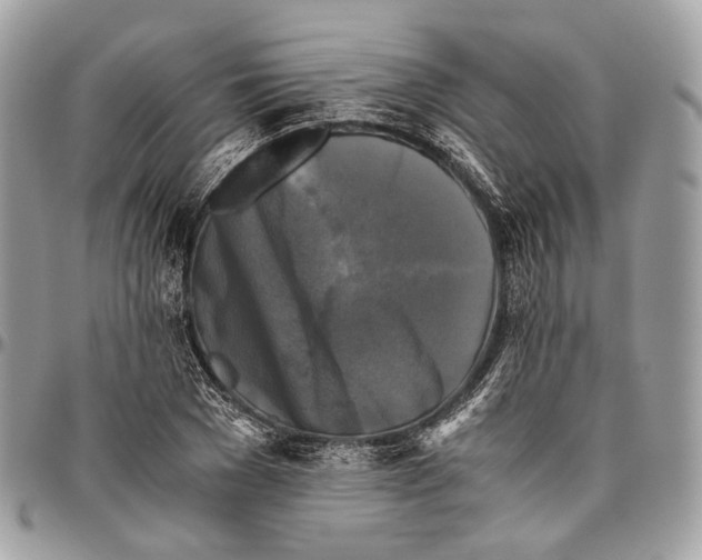 X0000096400977200802141514