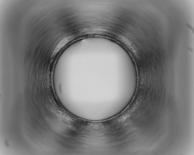 X0000096400978200802141514