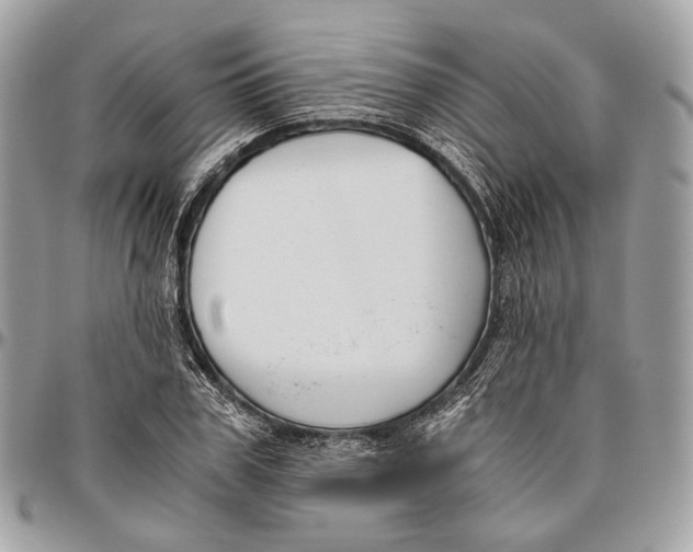 X0000096400979200802141514