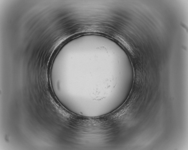 X0000096400980200802141514