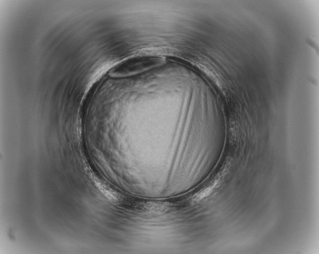 X0000096400981200802141514