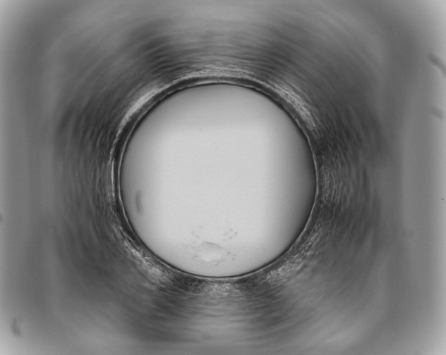 X0000096400982200802141514