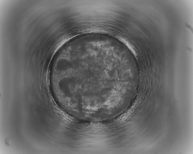 X0000096400983200802141514