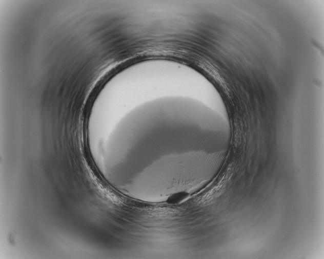 X0000096400984200802141514