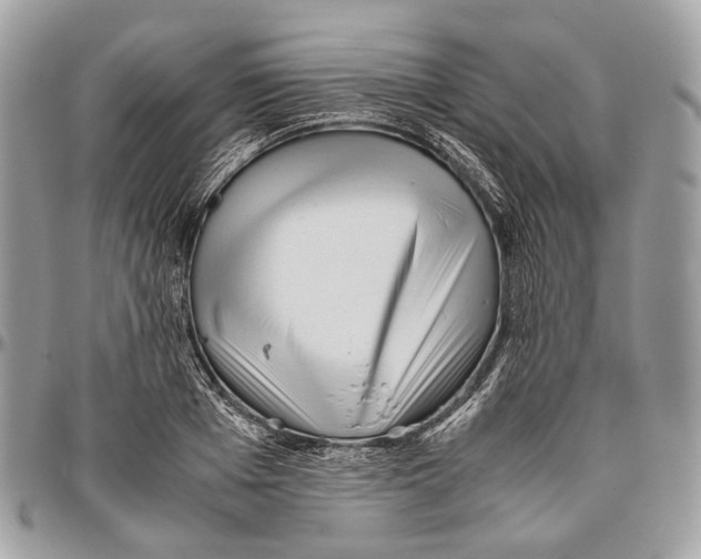 X0000096400985200802141514