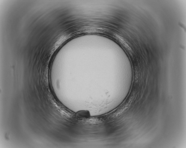 X0000096400986200802141514