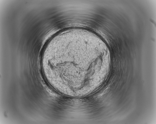 X0000096400987200802141514