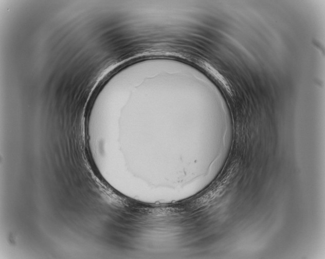 X0000096400988200802141514