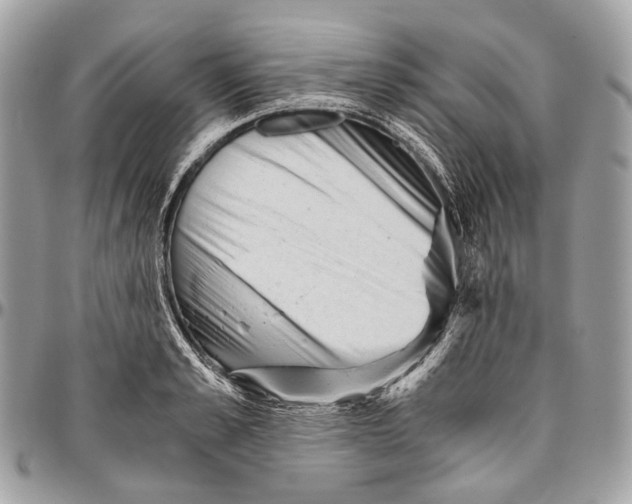 X0000096400989200802141514