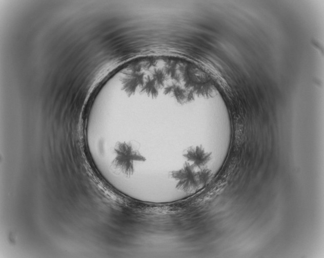 X0000096400990200802141514