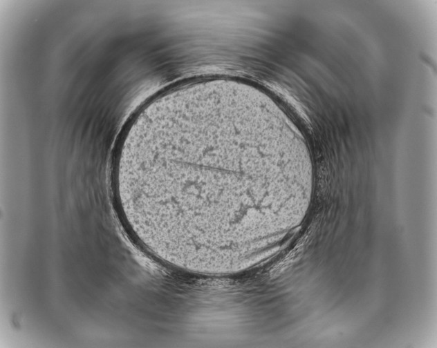 X0000096400991200802141514