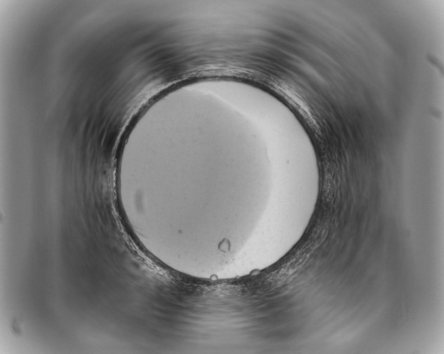 X0000096400992200802141514