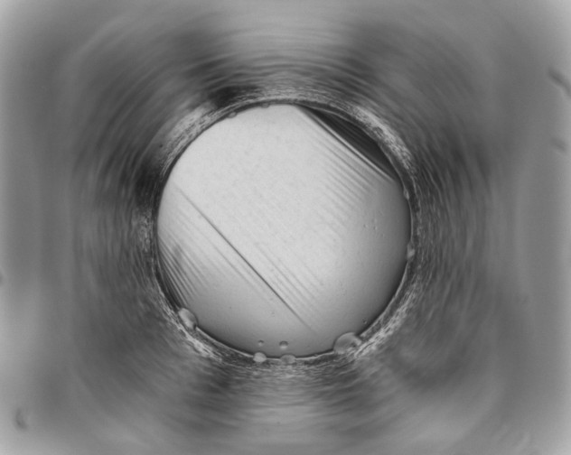 X0000096400993200802141514