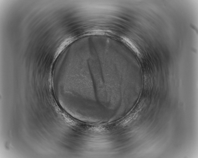 X0000096400994200802141514