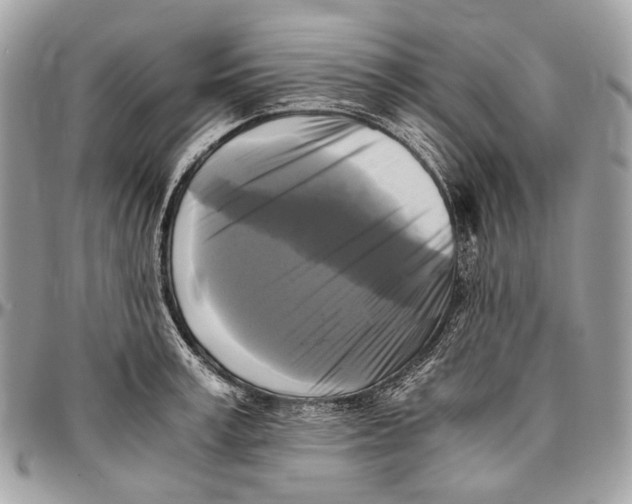 X0000096400995200802141514