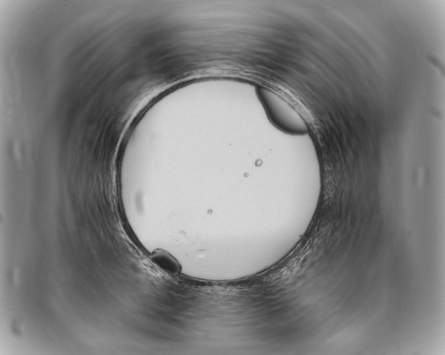 X0000096400996200802141514