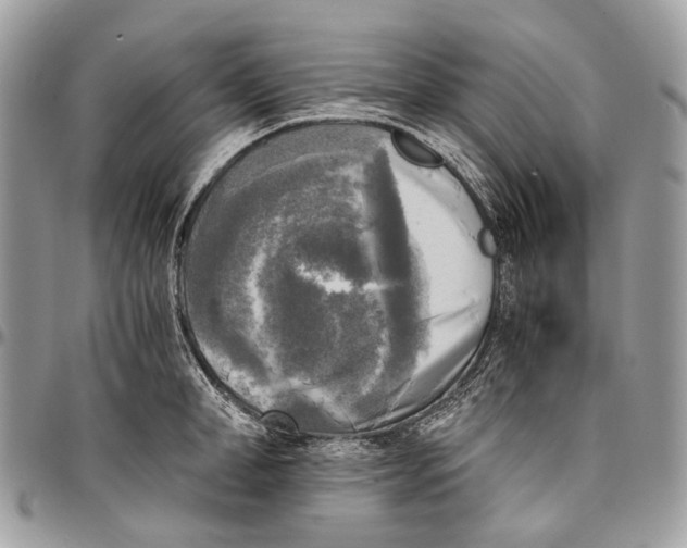 X0000096400998200802141514