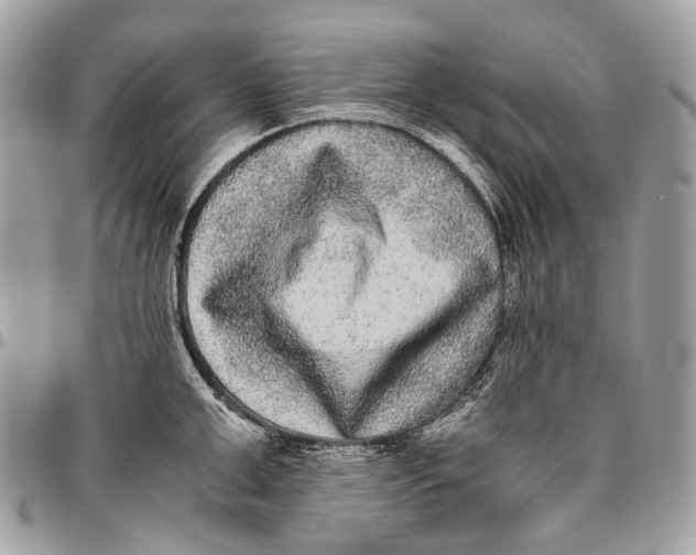 X0000096400999200802141514