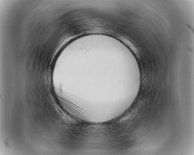 X0000096401000200802141514